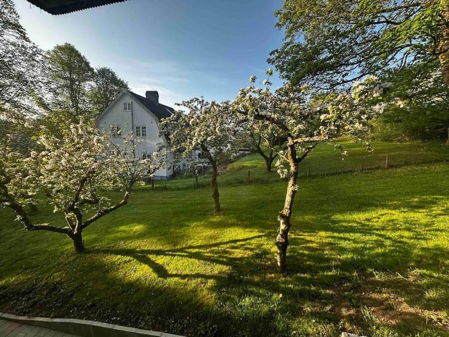 Luxurious 2-Room Apartment In Central Boras Borås Exterior foto